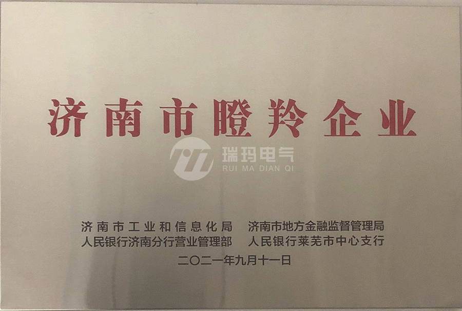 热烈祝贺济南瑞玛电气有限公司荣获济南市瞪羚企业